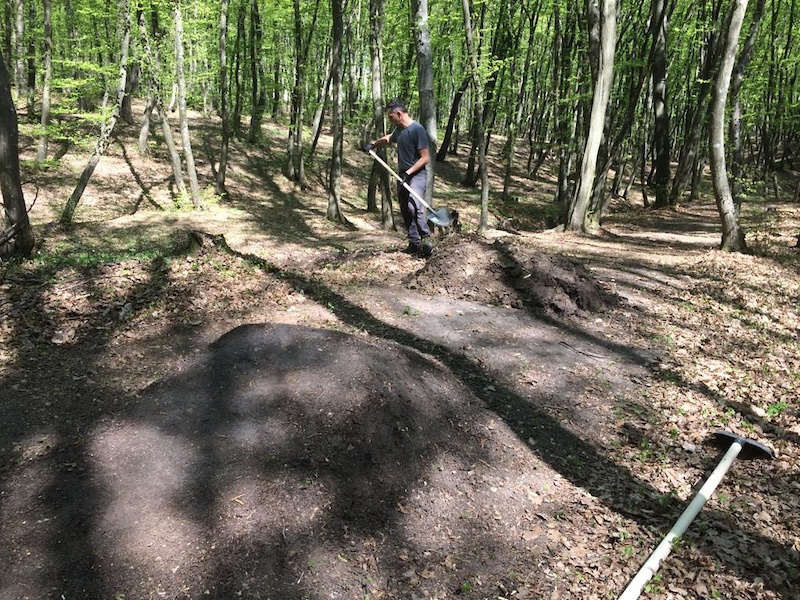 forest mtb trails