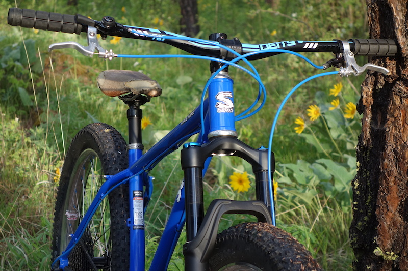 2018 Surly Karate Monkey/ medium For Sale