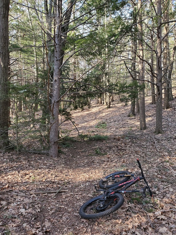 Laurel (West) Multi Trail Hubbardston, Massachusetts