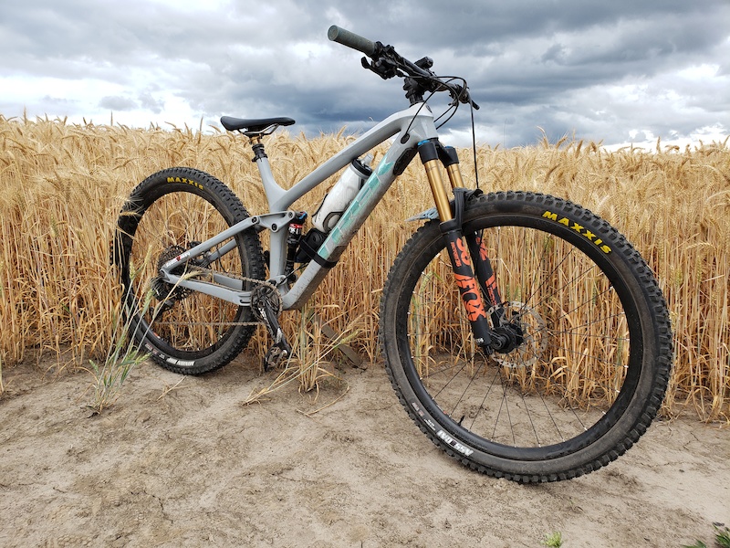 2019 trek fuel ex 9.8 online review