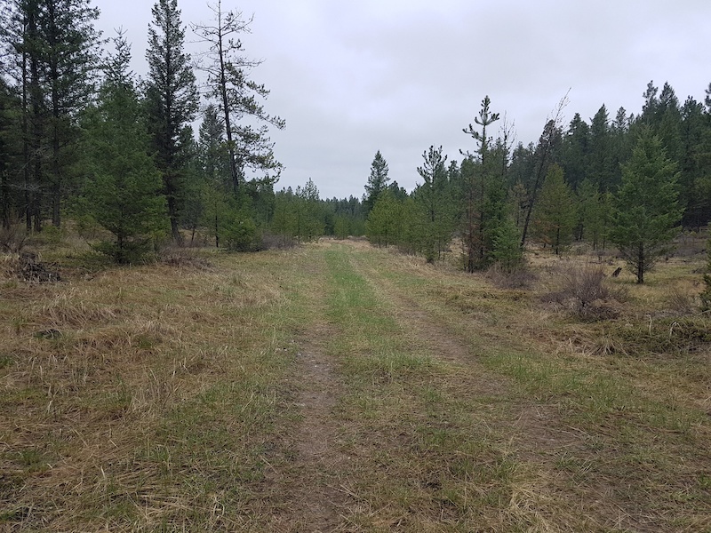 Dipsy Doodle Mountain Biking Route Trailforks