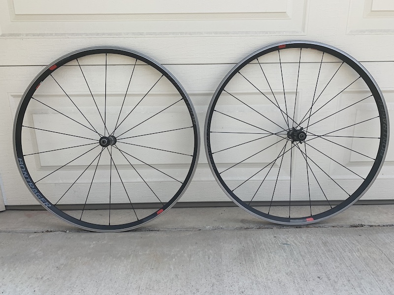 bontrager paradigm disc tubeless ready