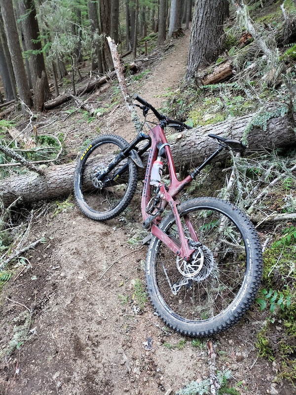 Palisades Mountain Biking Trail Greenwater, Washington