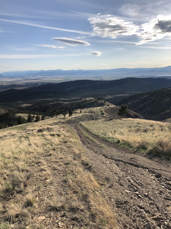 Kingsberry Oregon Ridge Multi Trail Helena, Montana