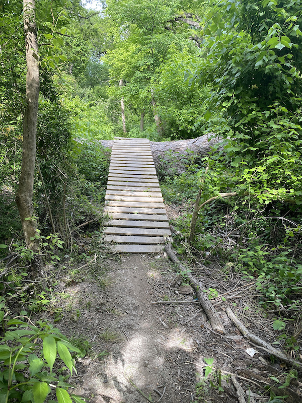 Black Loop Mountain Biking Trail - Dallas, Texas