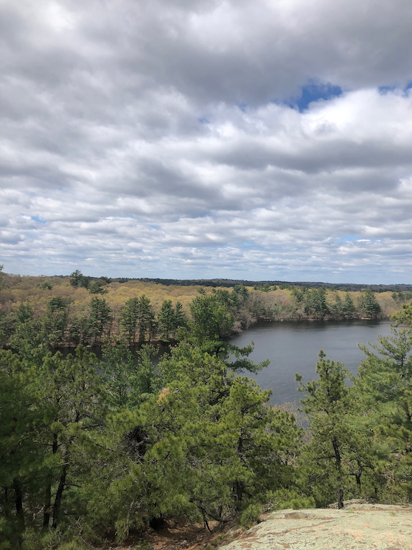 lynn woods mountain biking