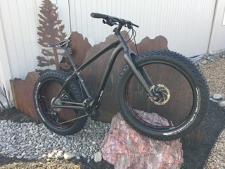 specialized fatboy tire