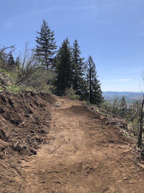 Upper Silicate Slide Mountain Biking Trail Mica, WA