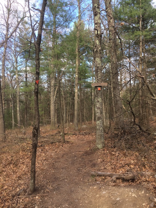 Northern Loop Multi Trail Billerica, Massachusetts