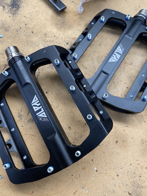 2020 Ride Alpha For Sale