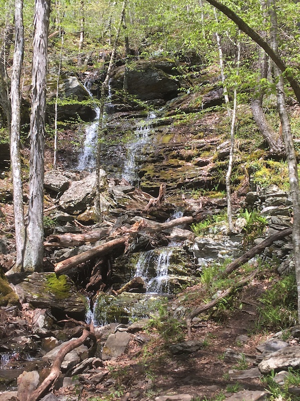 sprague brook mountain biking