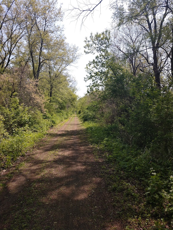 Sugar River State Trail (Ice Age) Multi Trail Wisconsin