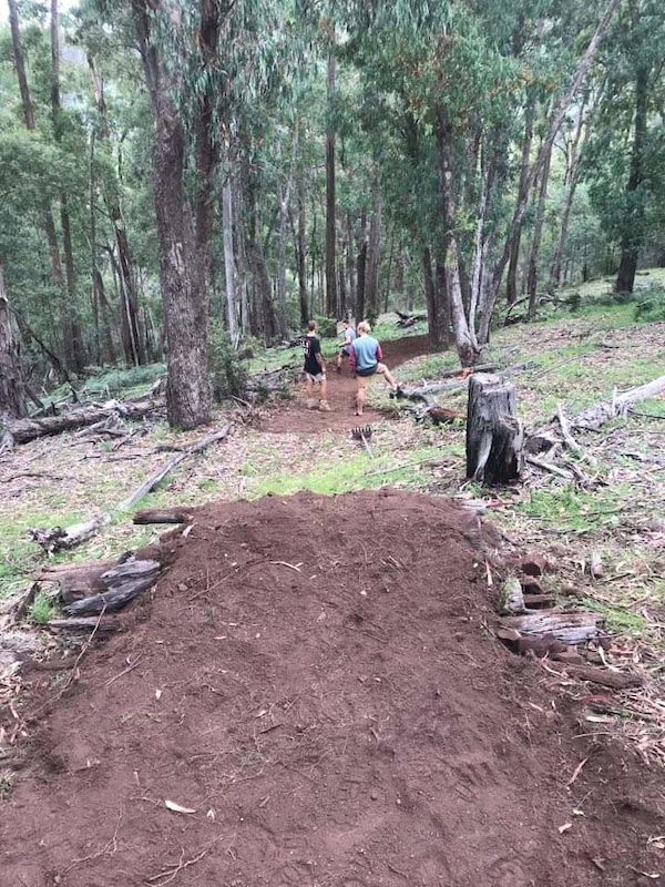 local Mountain Biking Trail Briagolong, Sale