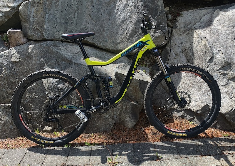 giant reign custom paint