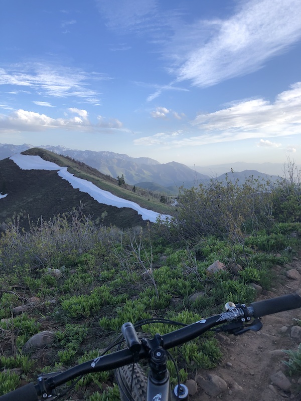 First 50k of the Wasatch 100 Mile Course Trailforks