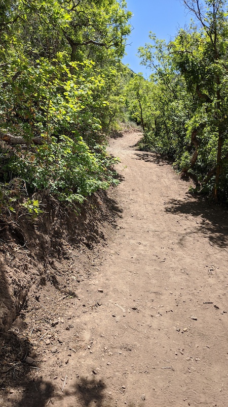 hidden-oaks-loop-climb-mountain-biking-trail-spanish-fork