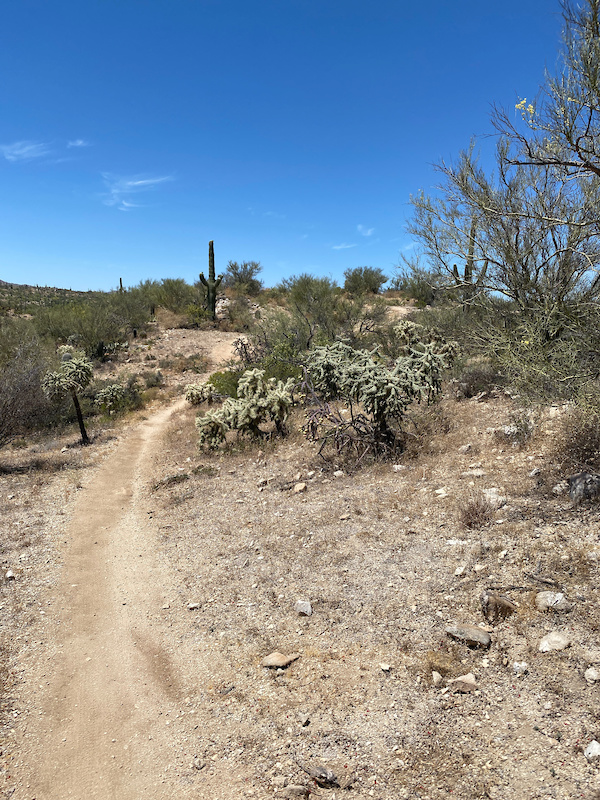 McKenzie Ranch Mountain Biking Trails Trailforks