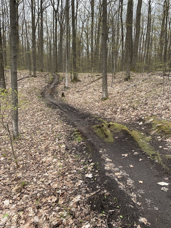 Stony Creek Quarry/Van Wie/Kelley/Hoadley Preserves Mountain Biking