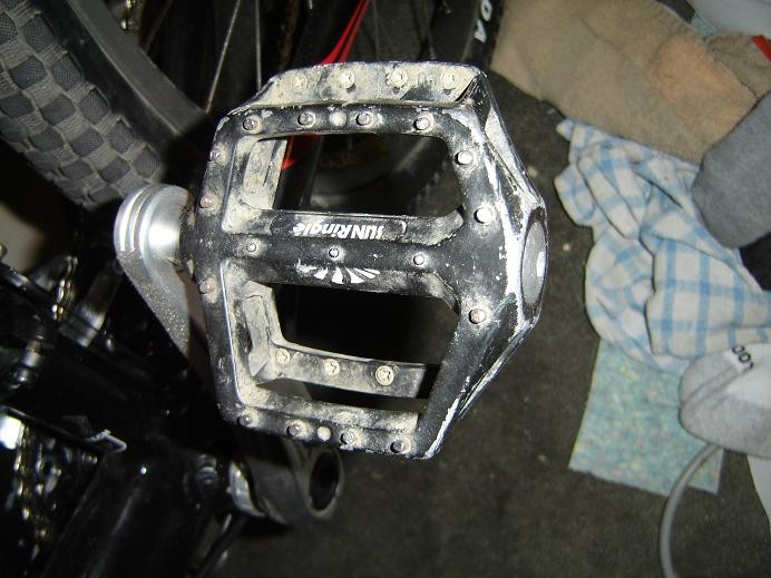 SunRingle Zuzu pedals For Sale