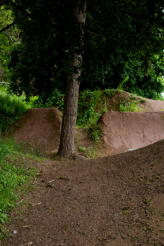 dirt jump trail