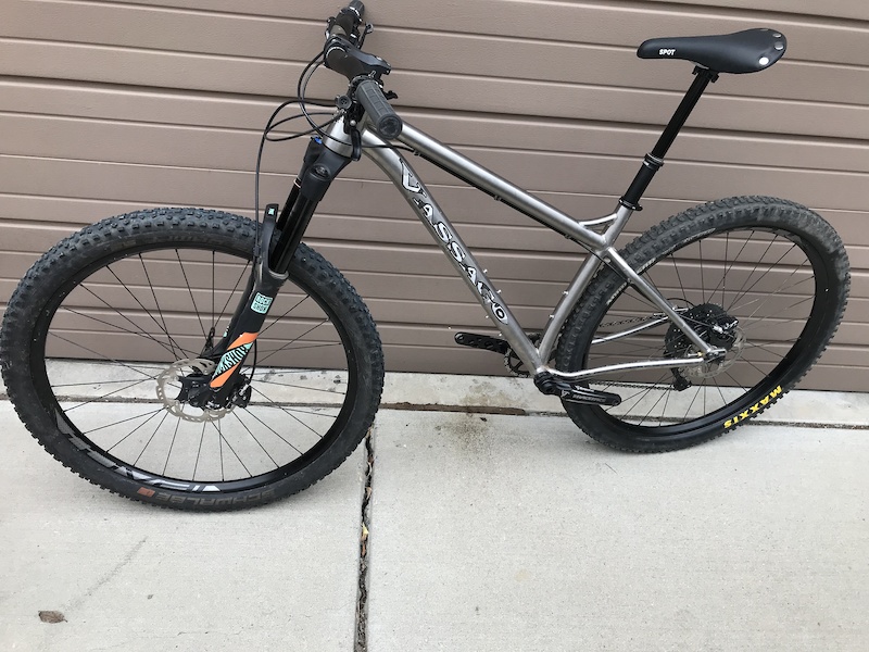 2019 Titanium Vassago Radimus whip it good For Sale