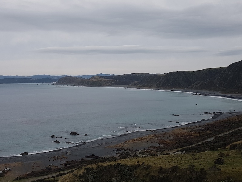 Pencarrow to Wainui Coast Rd Mountain Biking Trail Lower Hutt