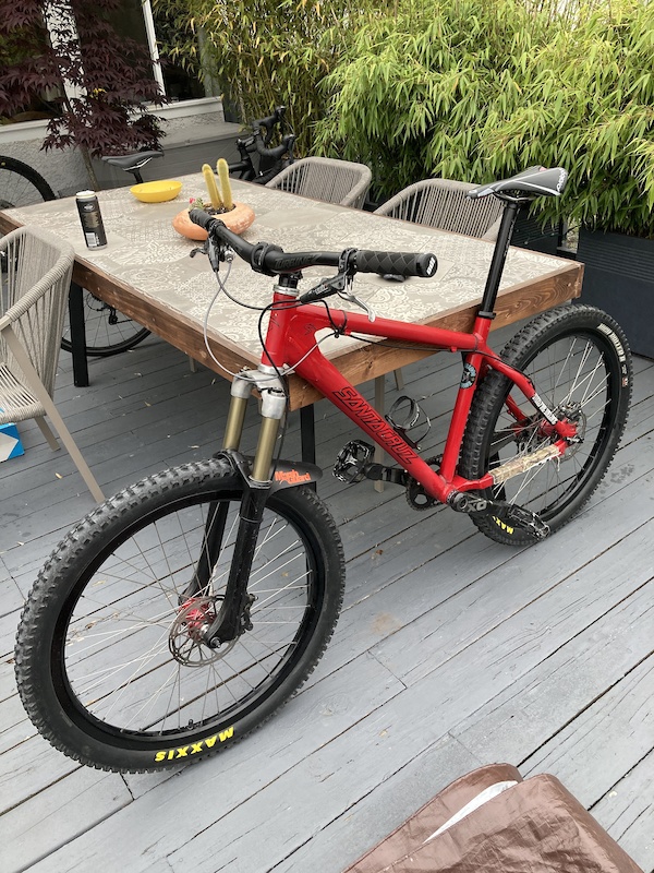 2006 Santa Cruz Chameleon For Sale