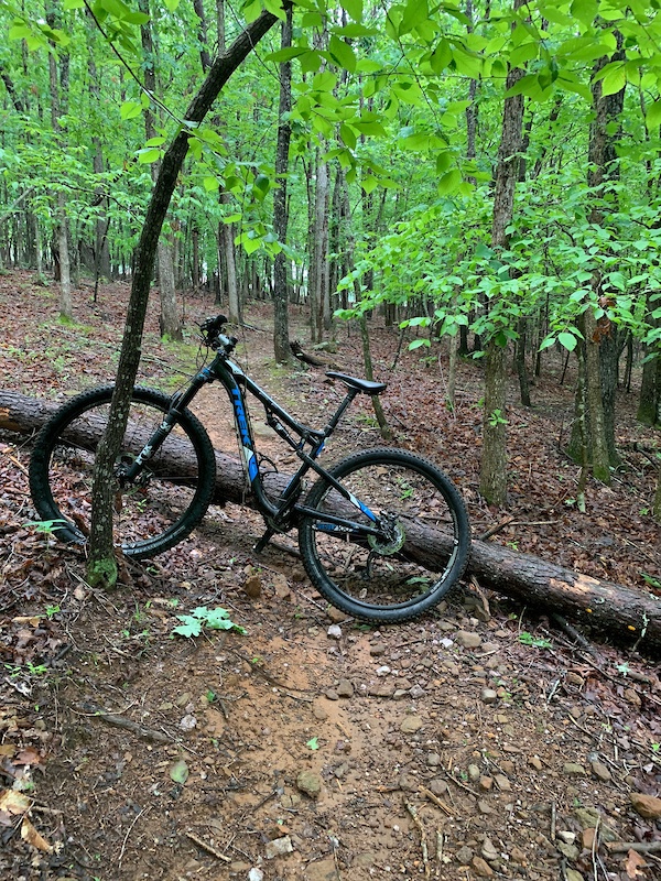 trailforks mountain bike