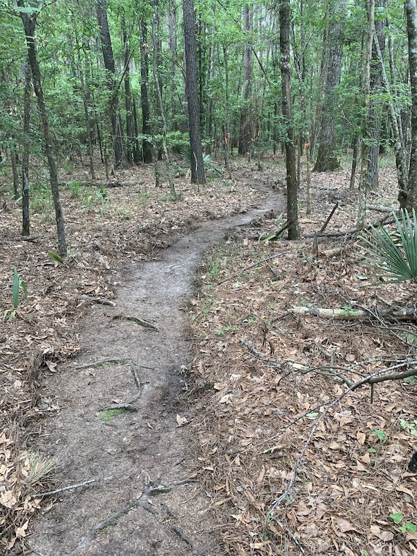 Jerry Jay Cox Mountain Biking Trail Savannah,