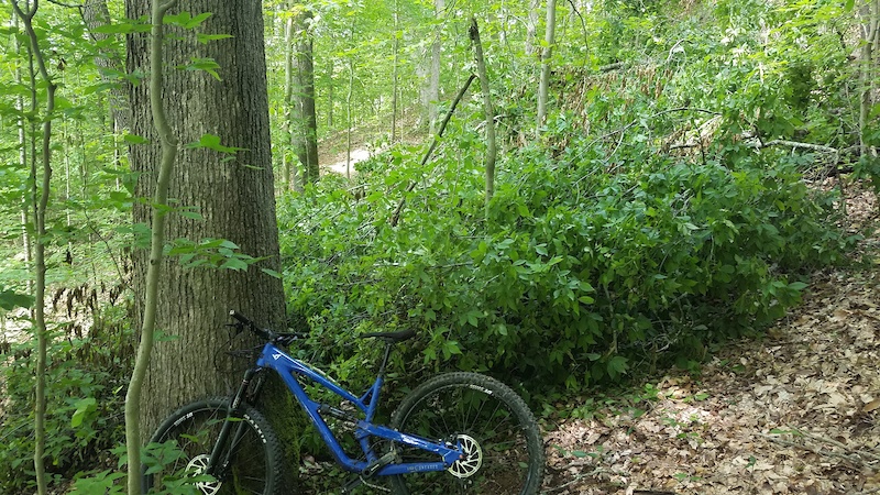 Arrowhead Trail Multi Trail Prestonsburg Kentucky