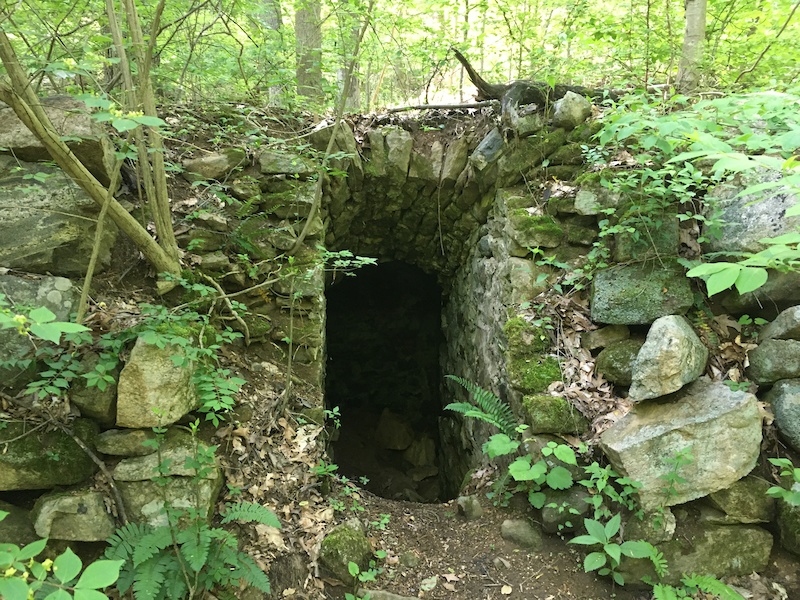 Antietam Lake Park Reading Mountain Biking Trails Trailforks