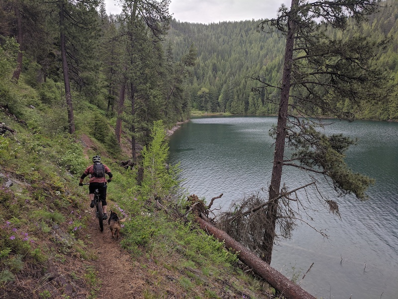 Bead Lake, Newport Mountain Biking Trails Trailforks