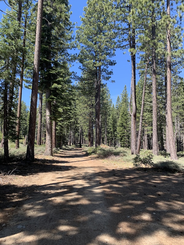 General Creek Trail (Dirt Road) Multi Trail - Lake Tahoe