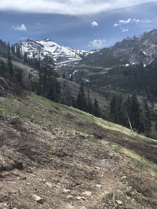 World Cup Trail Multi Trail Olympic Valley, California