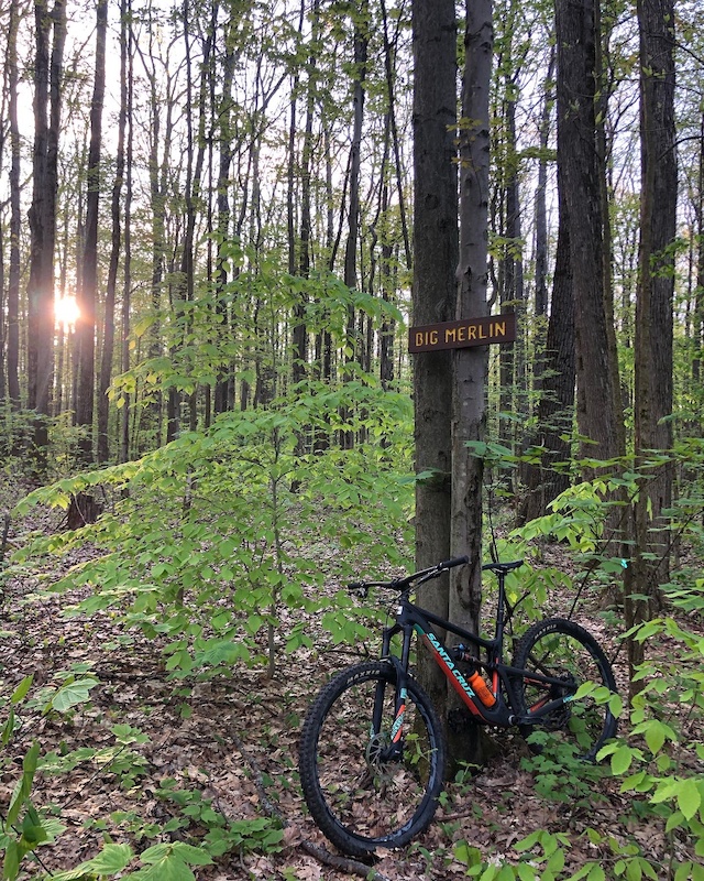 Big Merlin Mountain Biking Trail Ellicottville NY