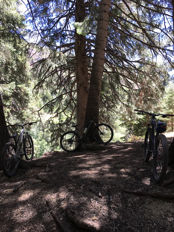 Maple Lake Mountain Biking Trail Payson, Utah