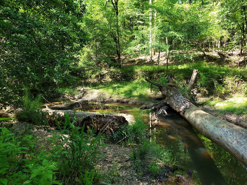 midlands mountain biking