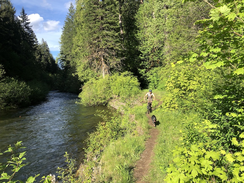 North Umpqua Trail - South Hot Springs Segment Multi Trail - Roseburg