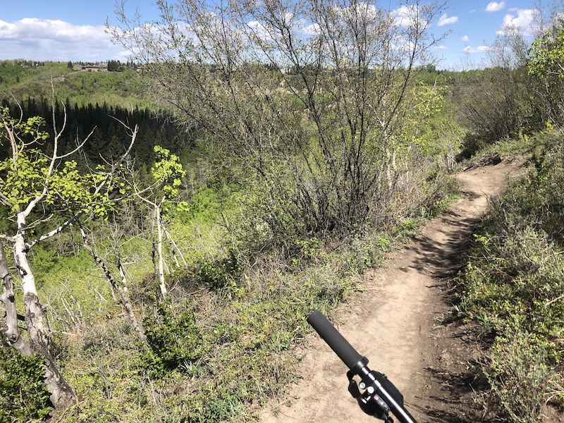 Home Brew Mountain Biking Trail Calgary, Alberta