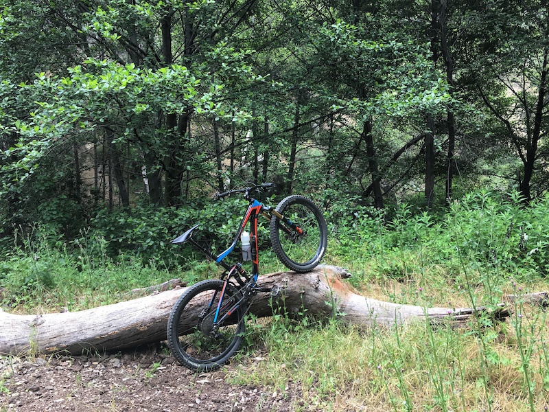 Mt baldy mountain online biking