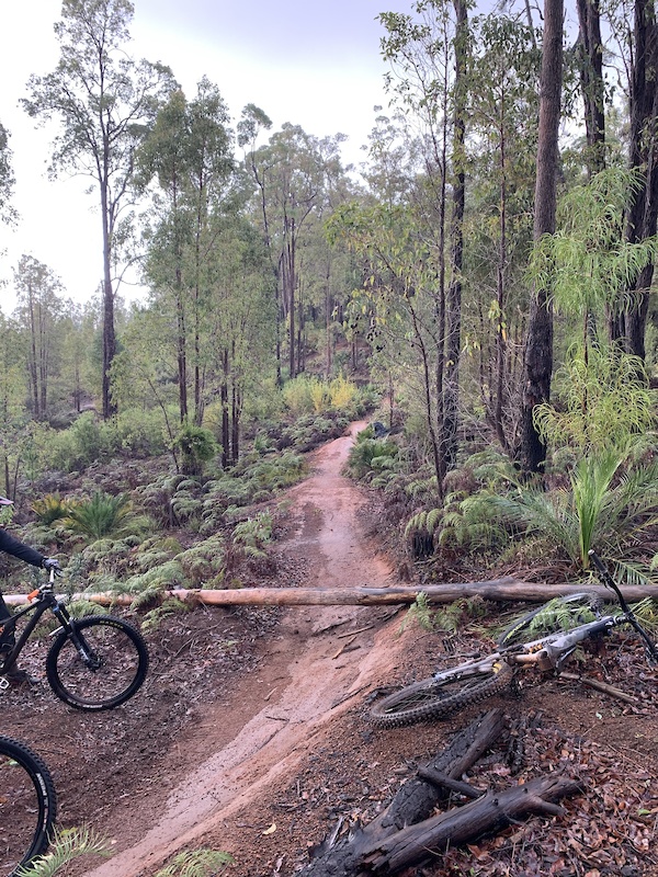 murray valley mtb trails