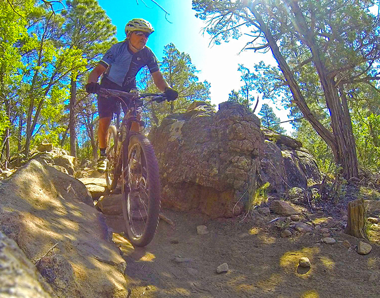 Cajun Pine Mountain Biking Trail Albuquerque, NM