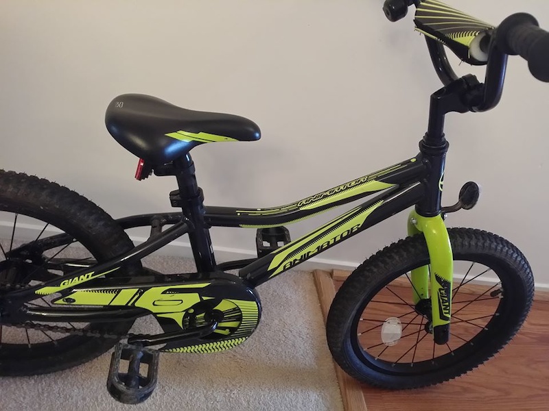 giant animator 16 2019