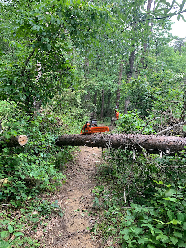 Rich Fork Preserve Connector Multi Trail High Point