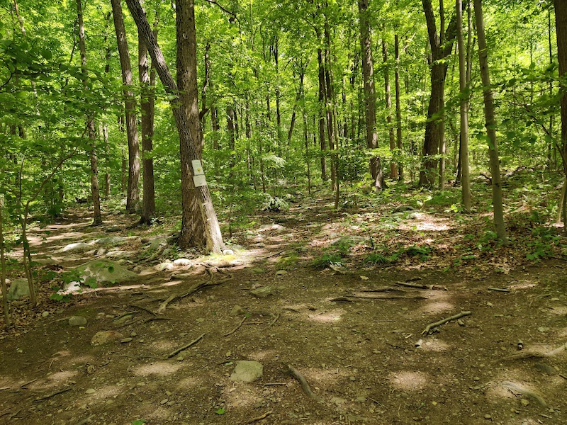 www.trailforks.com