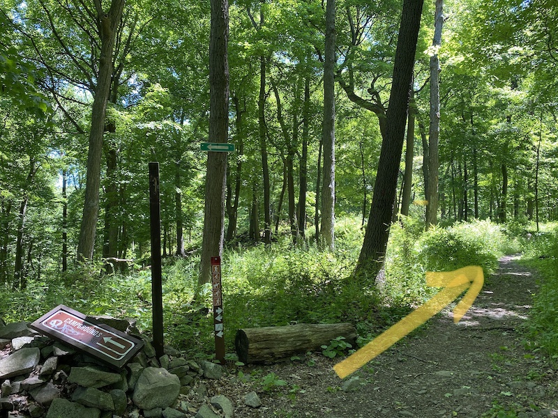Round Valley Cushetunk Trail 15 Mile Mountain Biking Route | Trailforks