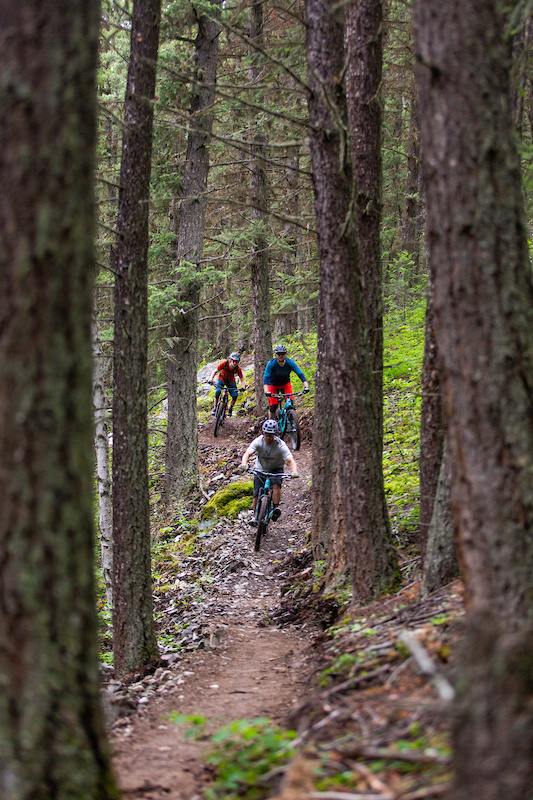 Wonderland Quesnel Mountain Biking Trails Trailforks