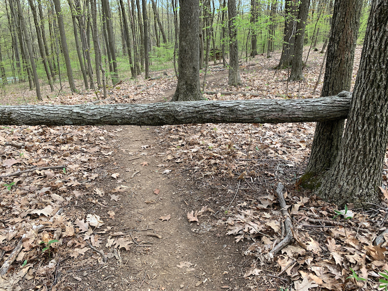 Remain Nameless Mountain Biking Trail East Granby