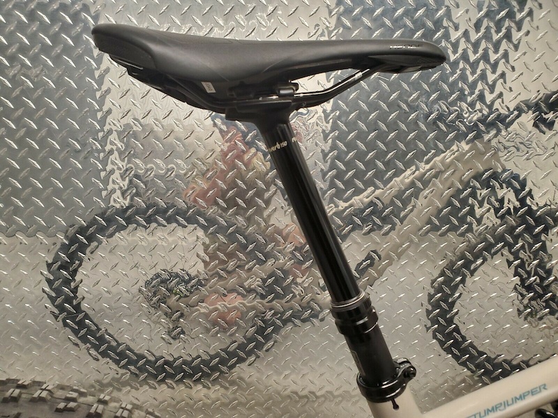2020 Specialized Stumpjumper Pemberton 