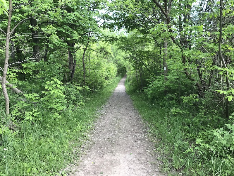 Short Hills Provincial Park Mountain Biking Trails | Trailforks
